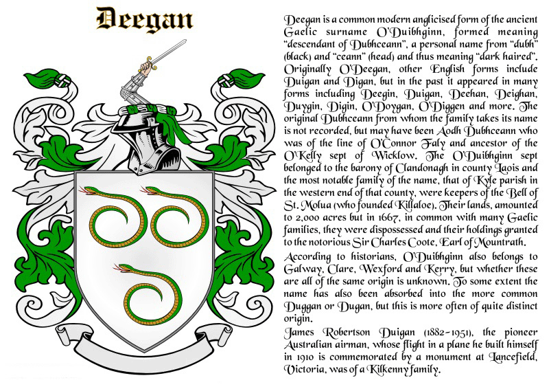 Deegan Coat of Arms History