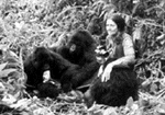 Dian Fossey